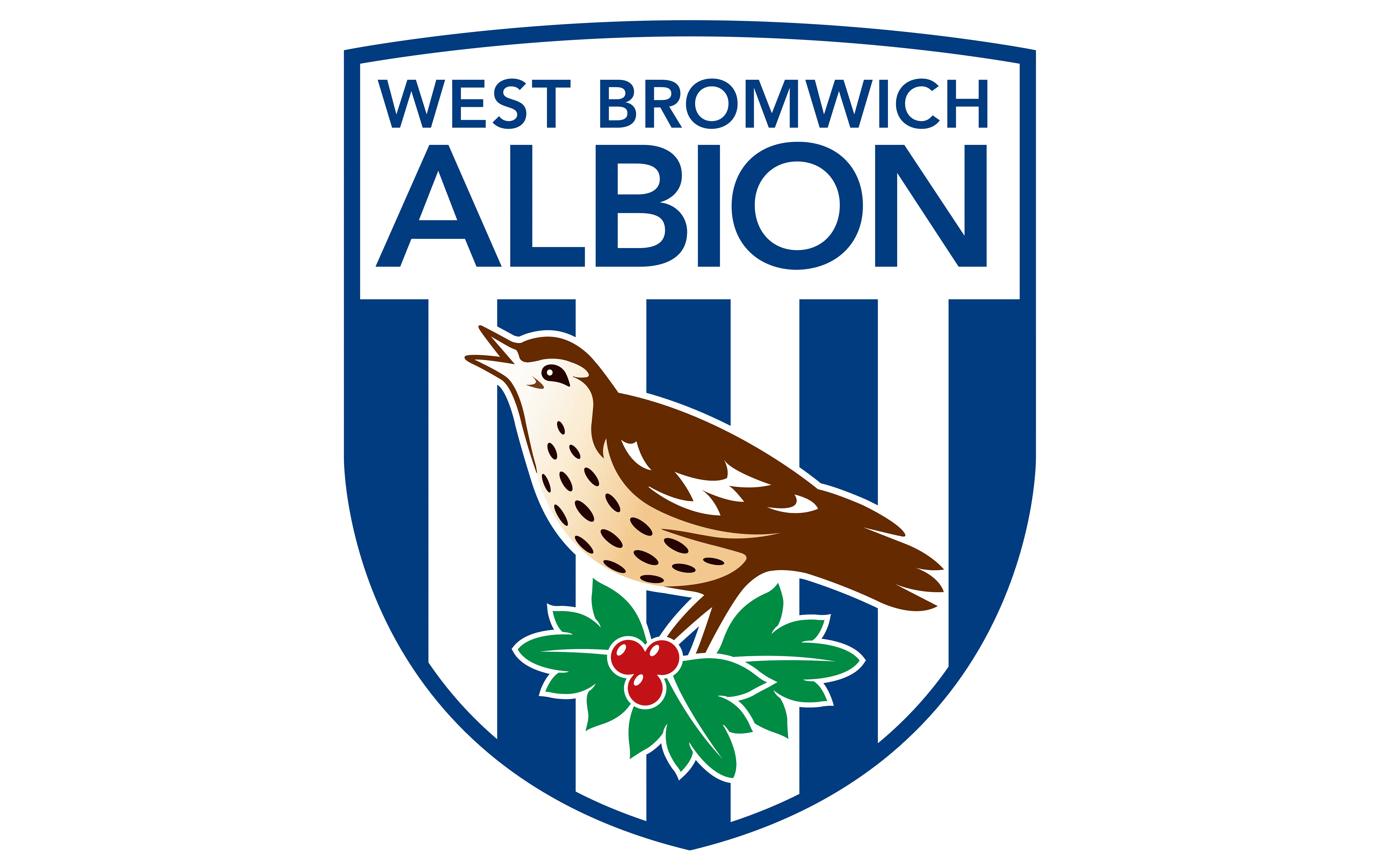 WestBromwichAlbion